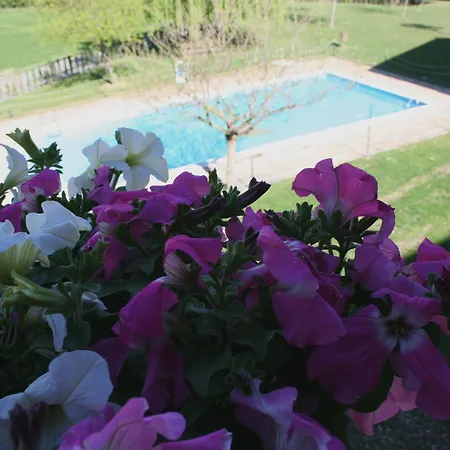 & Pena Montanesa Aínsa